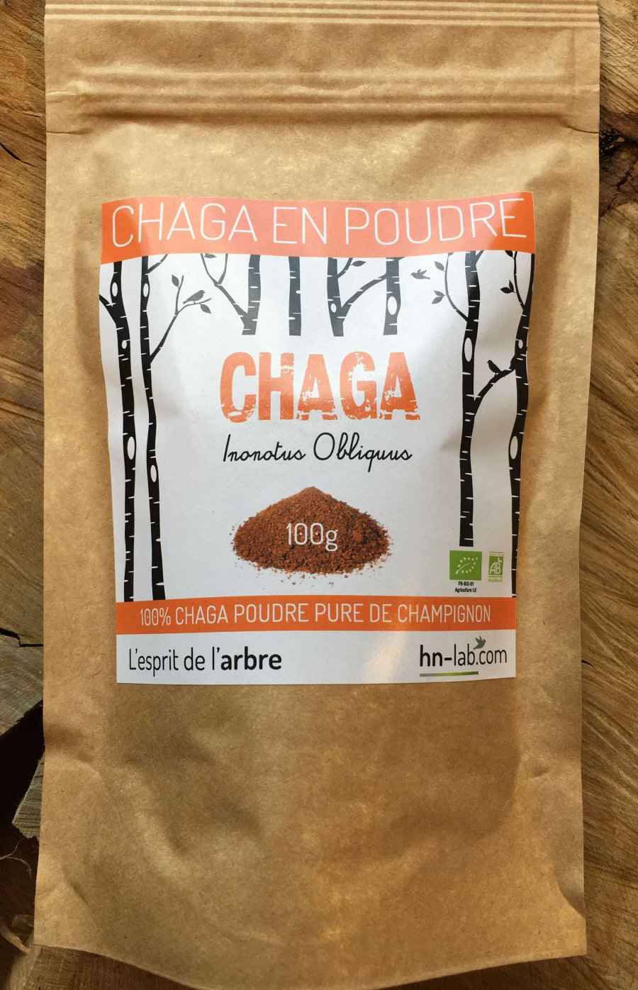 chaga-champignon